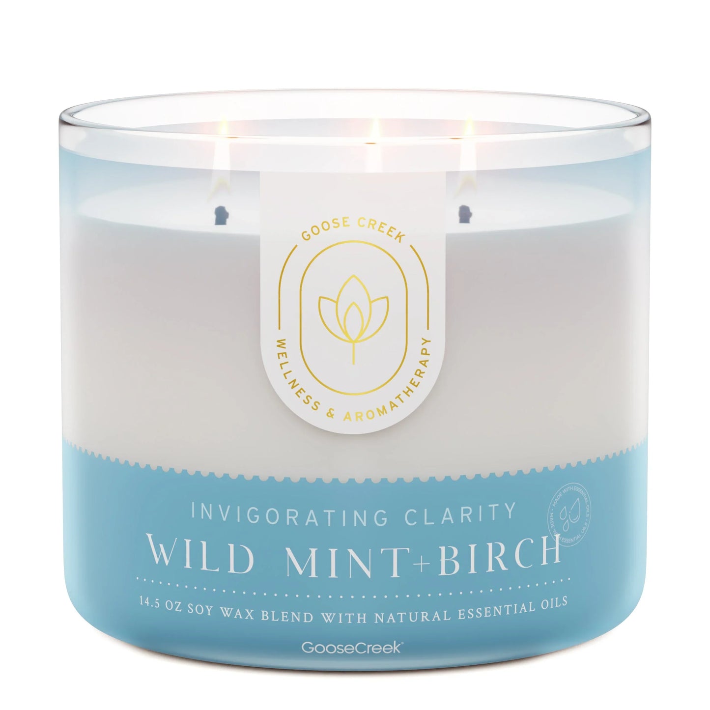 Wild Mint & Birch Aromatherapy 3-Wick Candle