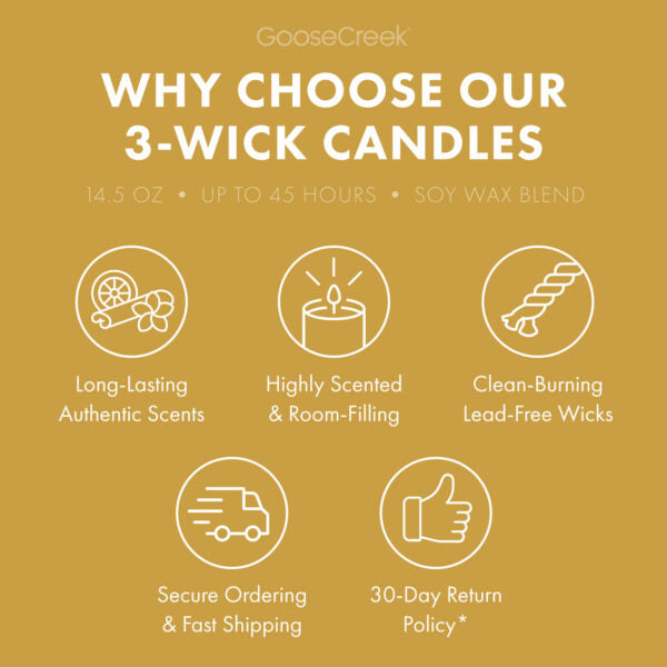 Pineapple Banana Punch 3-Wick Candle