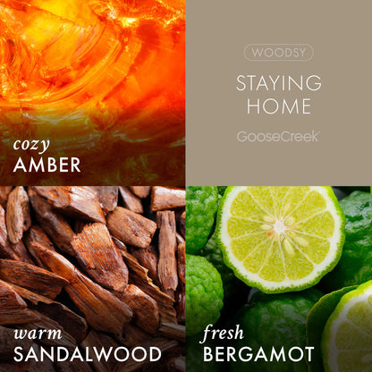 Staying Home Plug-in Refill