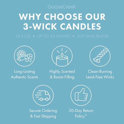 Odor Eliminating Cliffside Sea Spray 3-Wick Candle