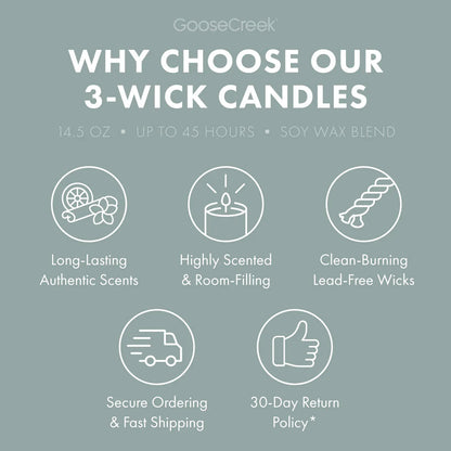 Sea Salt Neroli & Vanilla 3-Wick Candle