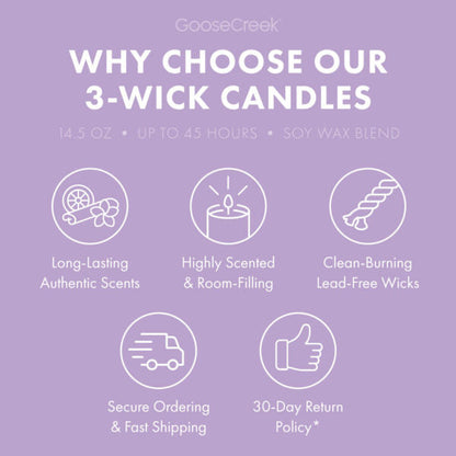 Vanilla Cloud Large 3-Wick Candle