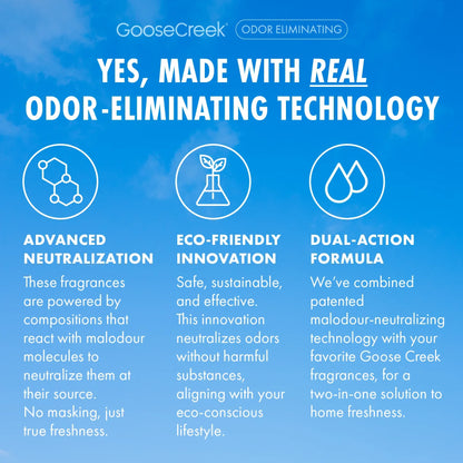 Odor Eliminating Sugared Lemon Plug-in Refill