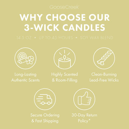 Clean House Citrus 3-Wick Candle