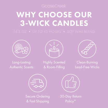 Grape Soda 3-Wick Candle