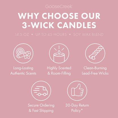 Strawberry Coconut Milk 3-Wick Candle