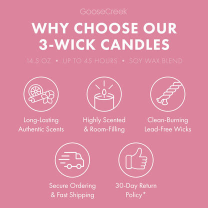 Raspberry Sorbet 3-Wick Candle