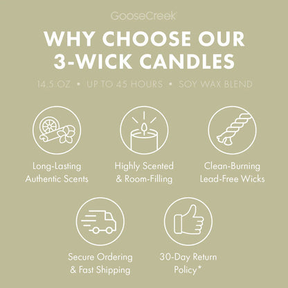 Odor Eliminating Warm & Welcome 3-Wick Candle