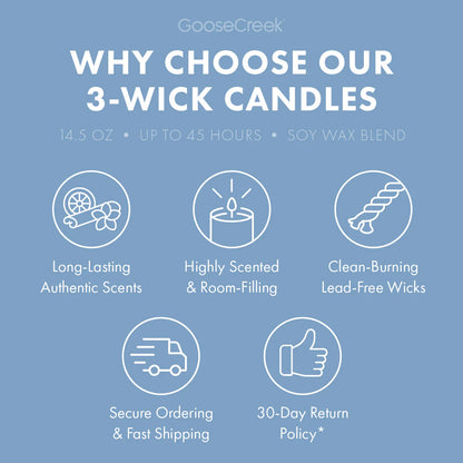 Blueberry Cheesecake 3-Wick Candle