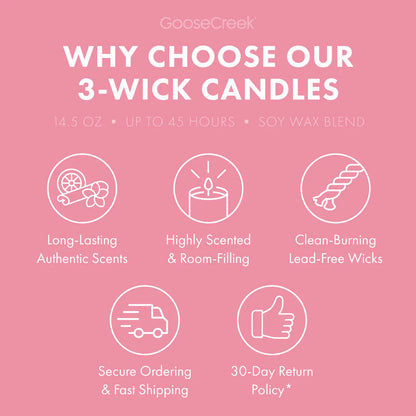Dragonfruit Splash 3-Wick Candle