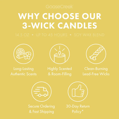Lemon Boardwalk Cone 3-Wick Candle