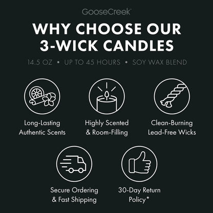 Palo Santo Coconut 3-Wick Candle