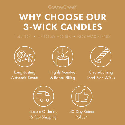 Banana Pudding 3-Wick Candle