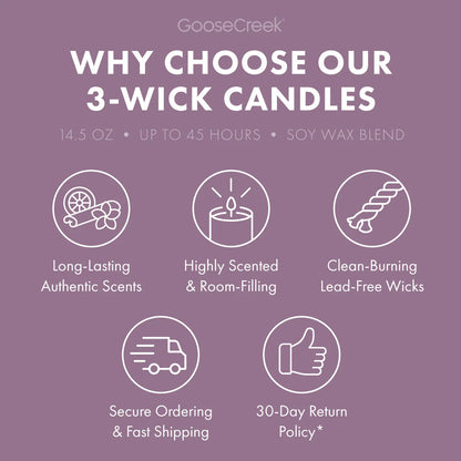 Peanut Butter Sugar 3-Wick Candle