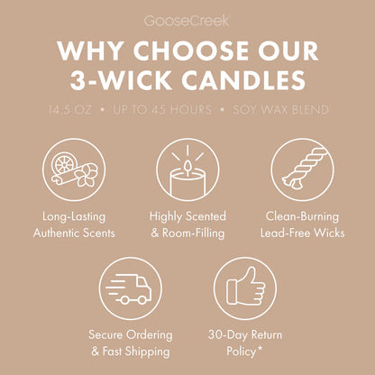 Coconut Caramel Apple 3-Wick Candle