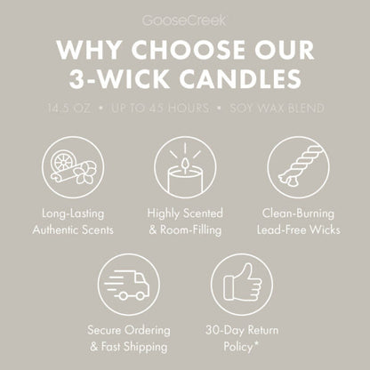 Clean Girl Aesthetic 3-Wick Candle