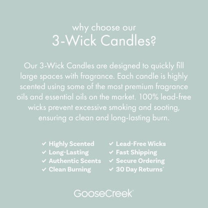 Marshmallow Sugar 3-Wick Candle