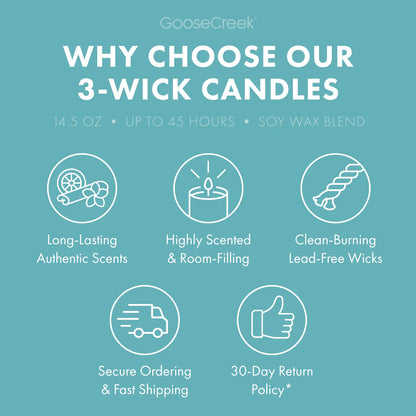 Marshmallow Sugar 3-Wick Candle