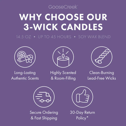 Sandy Cheeks 3-Wick Candle