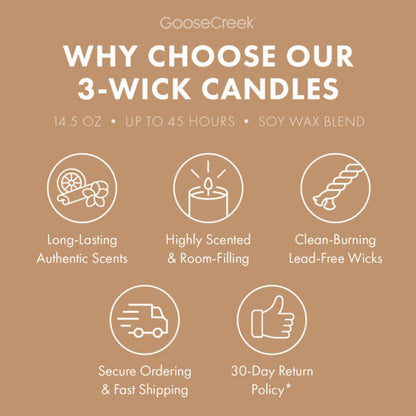 Beach Dreams 3-Wick Candle