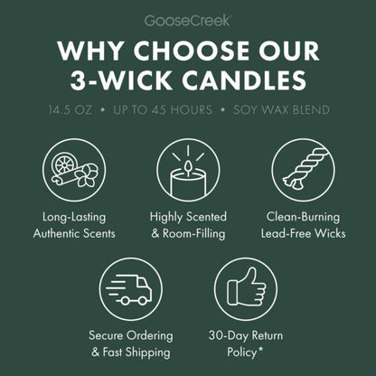 Eucalyptus Mist 3-Wick Candle