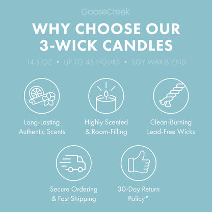 Coconut Cream Mousse 3-Wick Candle