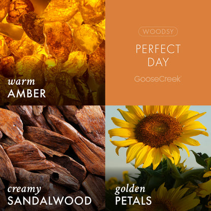 Perfect Day 3-Wick Candle