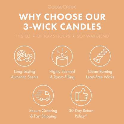 Sunlit Sands 3-Wick Candle