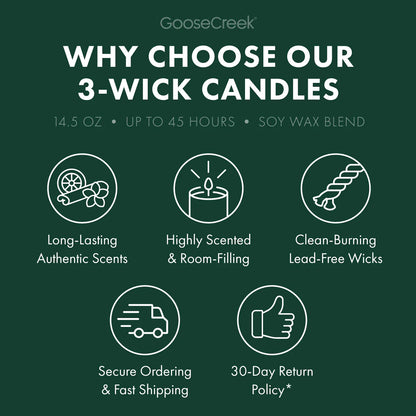 Coconut Beachwood 3-Wick Candle