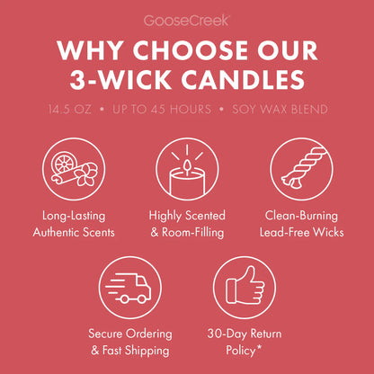 Macintosh Apple 3-Wick Candle