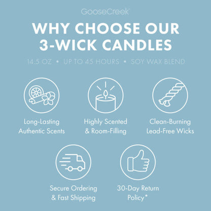 Cotton Candy 3-Wick Candle
