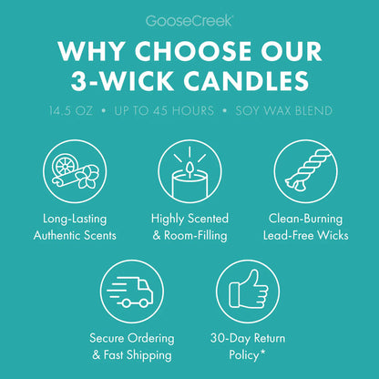 Welcome to Bikini Bottom 3-Wick Candle