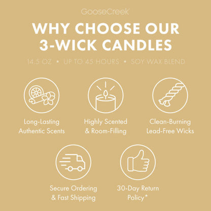 Beach Party 3-Wick Candle