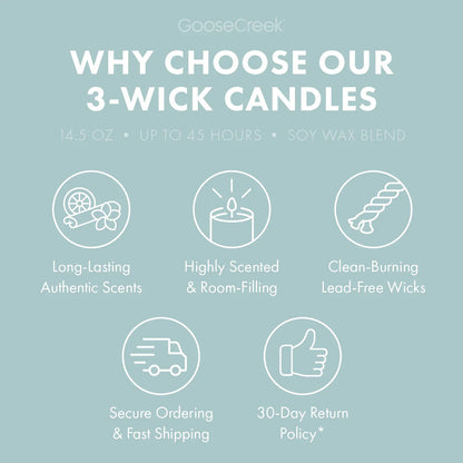 Warm Spring Breeze 3-Wick Candle