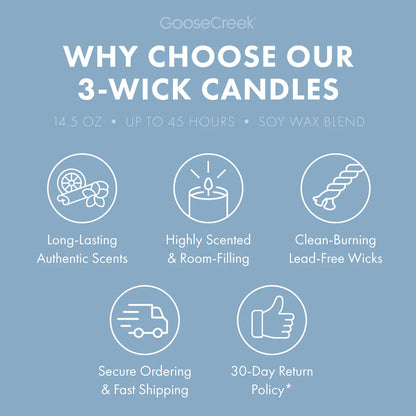 Blueberry Funnel Cake 3-Wick Candle
