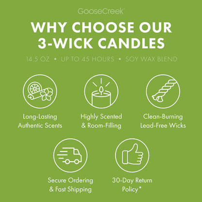 Watermelon Bubble Gum 3-Wick Candle