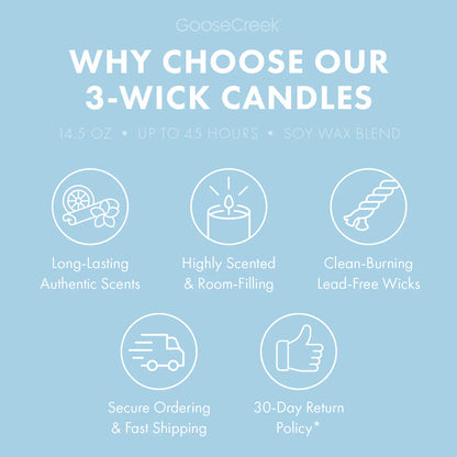 Just Showered 3-Wick Candle