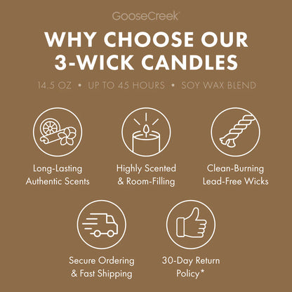 Pina Colada 3-Wick Candle