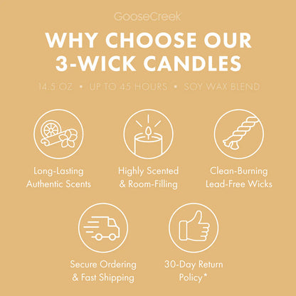 Everything Bagel 3-Wick Candle