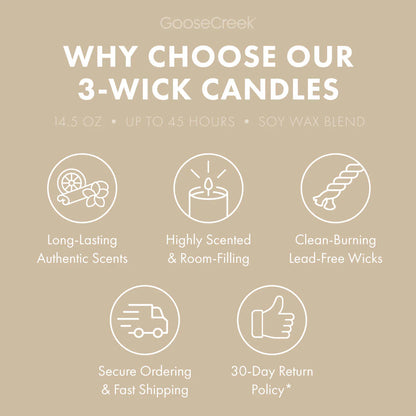 Golden Coconut Glow 3-Wick Candle