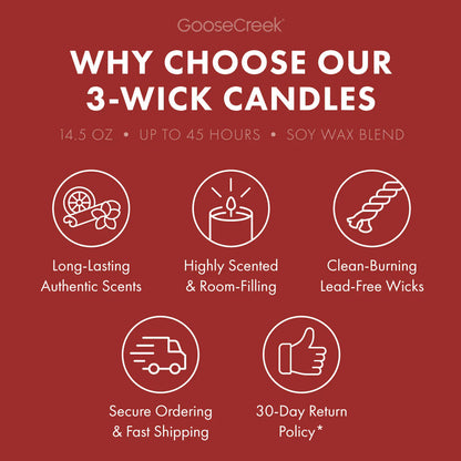 Mr. Krabs 3-Wick Candle