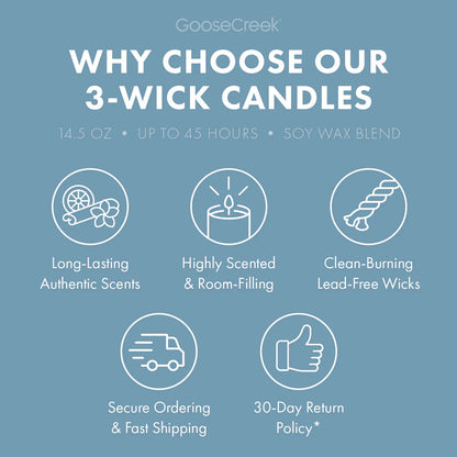 Wild Mint & Birch Aromatherapy 3-Wick Candle