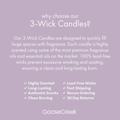 Peanut Butter & Jelly 3-Wick Candle