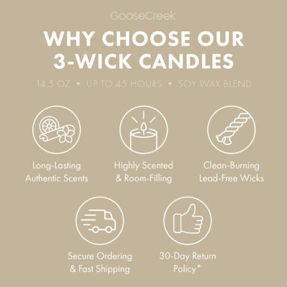 Vanilla Bean 3-Wick Candle