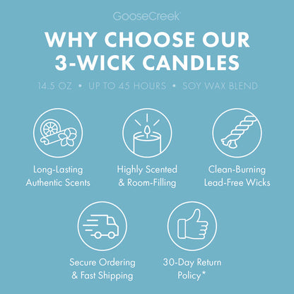 Cliffside Sea Spray 3-Wick Candle