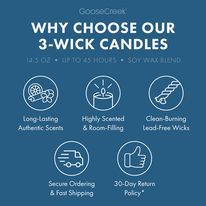 Blueberry Limeade 3-Wick Candle