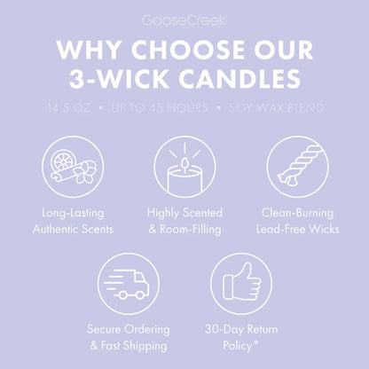 Wildberry Wisteria 3-Wick Candle