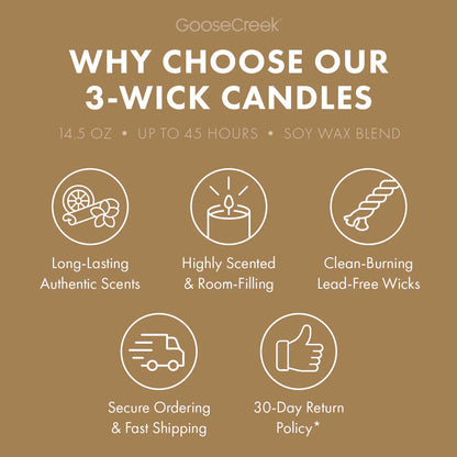 Coffee & Cacao Aromatherapy 3-Wick Candle
