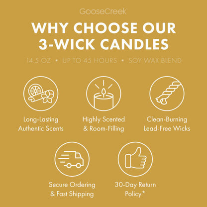 Pineapple Banana Punch 3-Wick Candle