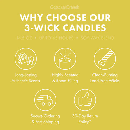 SpongeBob Square Pants 3-Wick Candle